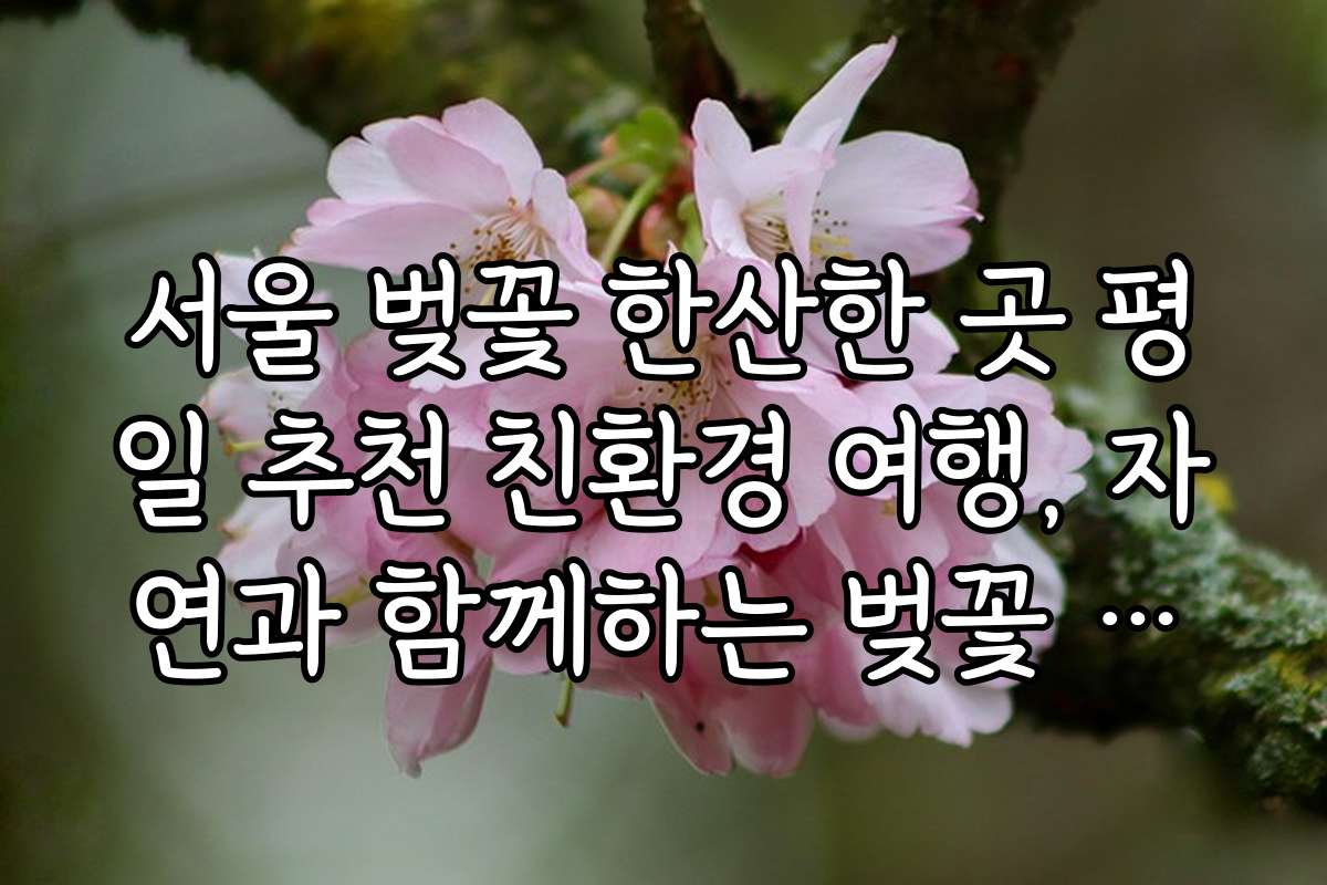 서울 벚꽃 한산한 곳 평일 추천 친환경 여행, 자연과 함께하는 벚꽃 감상법