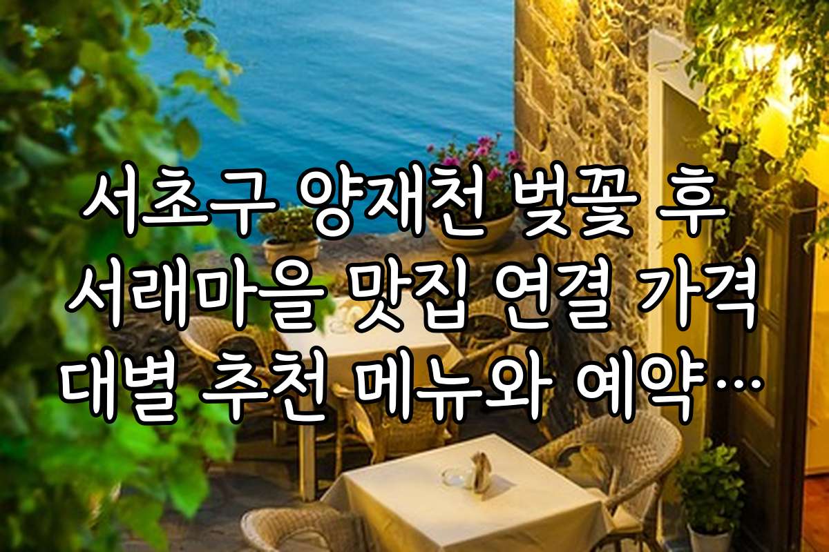 서초구 양재천 벚꽃 후 서래마을 맛집 연결 가격대별 추천 메뉴와 예약 팁