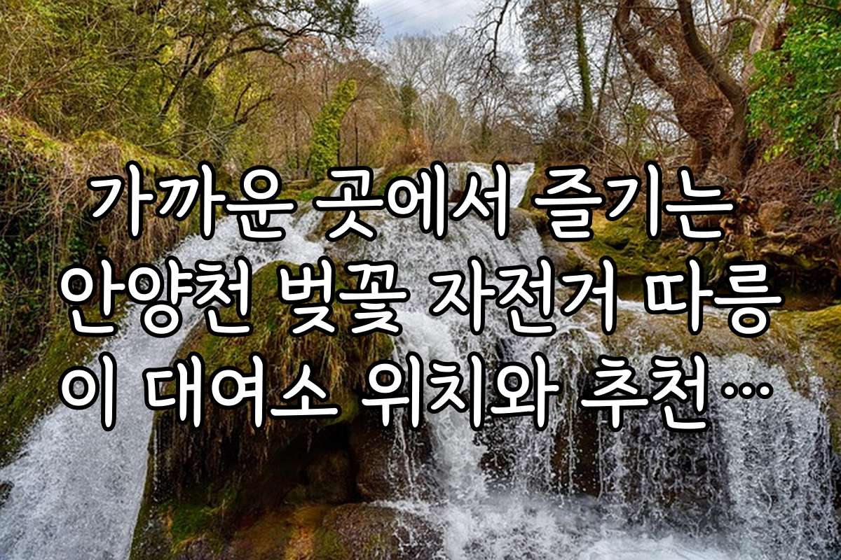 가까운 곳에서 즐기는 안양천 벚꽃 자전거 따릉이 대여소 위치와 추천 코스