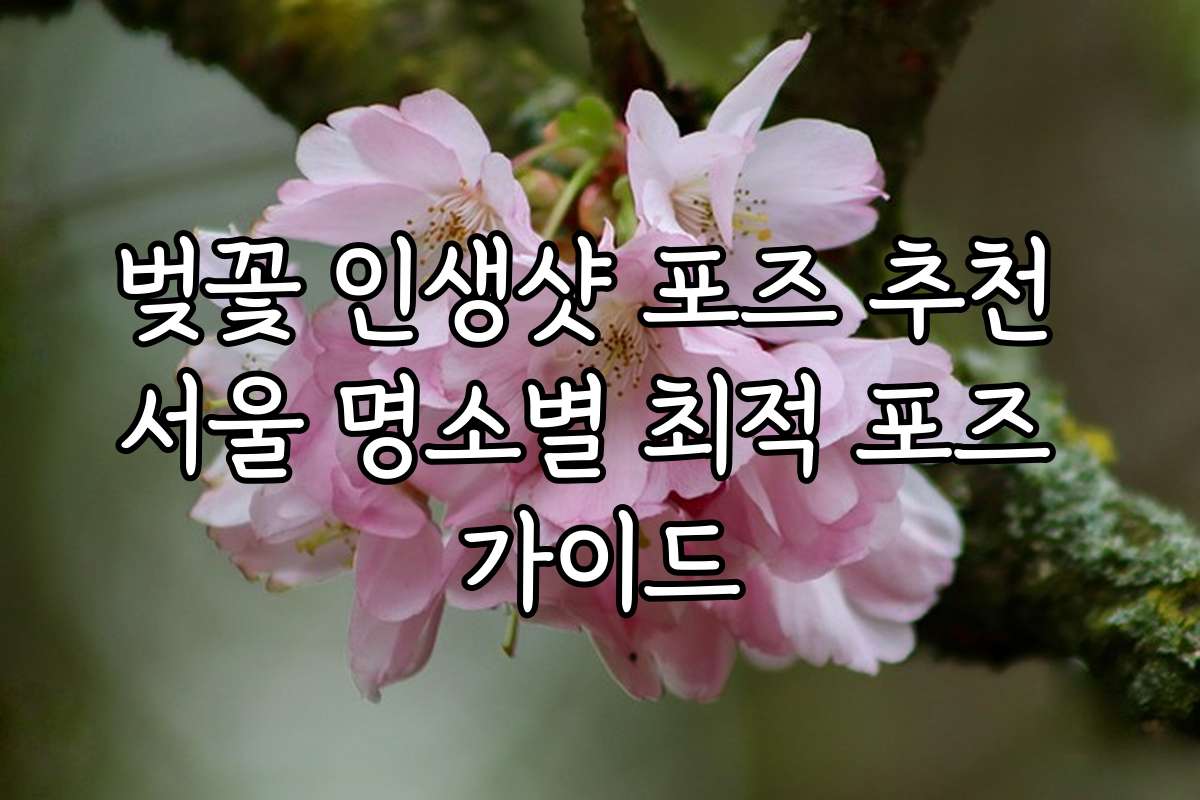 벚꽃 인생샷 포즈 추천 서울 명소별 최적 포즈 가이드