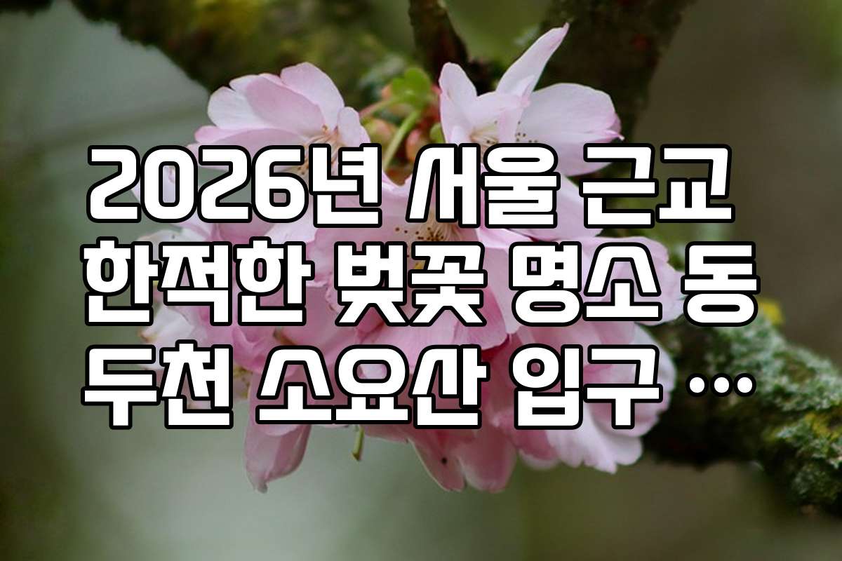 2026년 서울 근교 한적한 벚꽃 명소 동두천 소요산 입구 벚꽃길