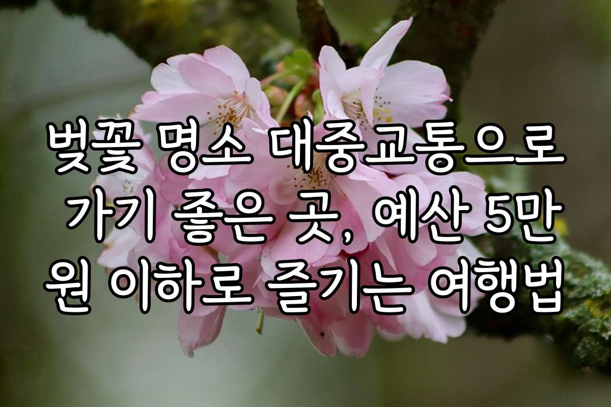 벚꽃 명소 대중교통으로 가기 좋은 곳, 예산 5만원 이하로 즐기는 여행법