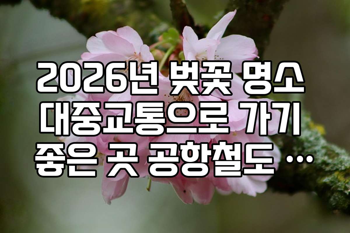 2026년 벚꽃 명소 대중교통으로 가기 좋은 곳 공항철도 마곡나루역