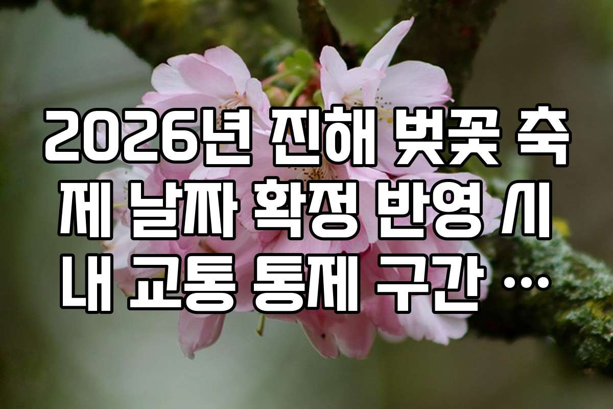 2026년 진해 벚꽃 축제 날짜 확정 반영 시내 교통 통제 구간 정리
