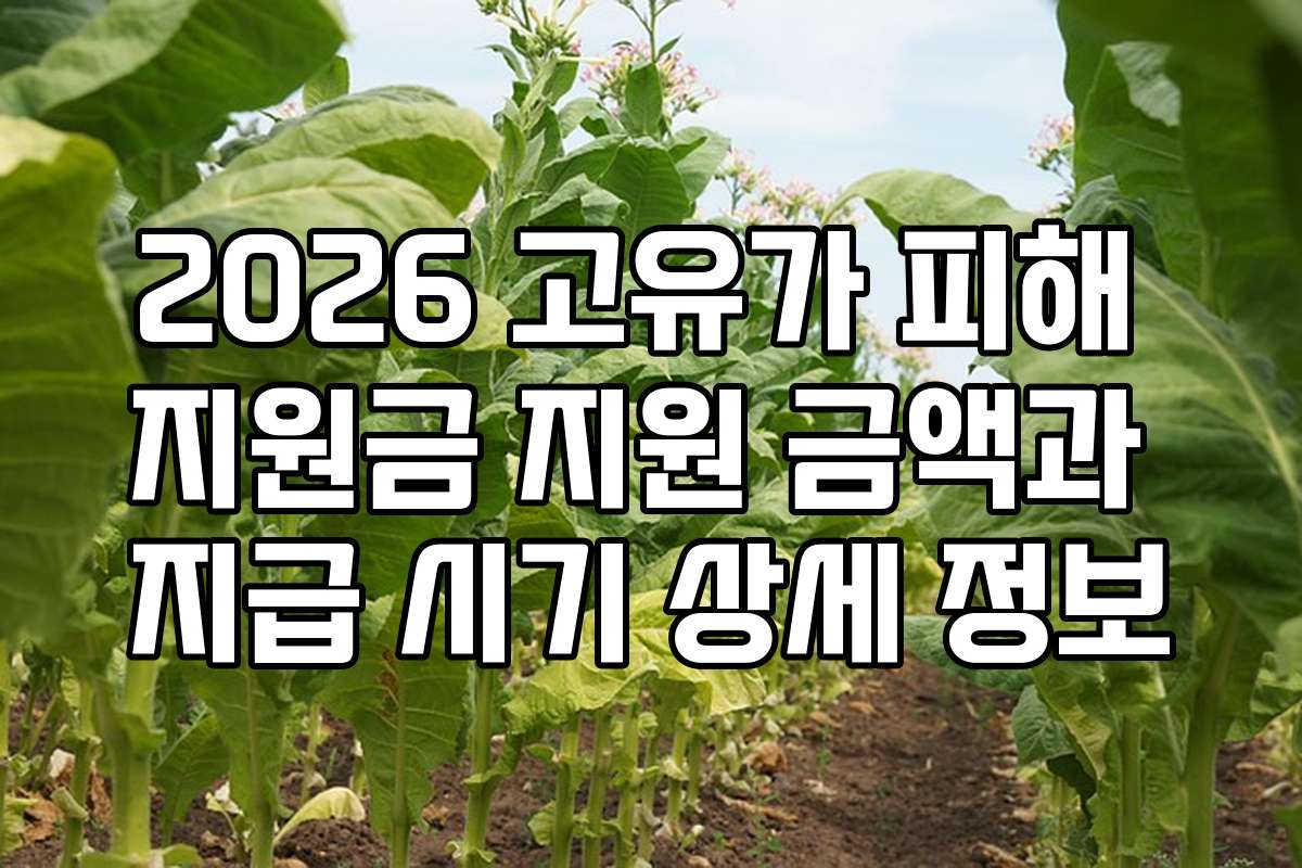 2026 고유가 피해 지원금 지원 금액과 지급 시기 상세 정보