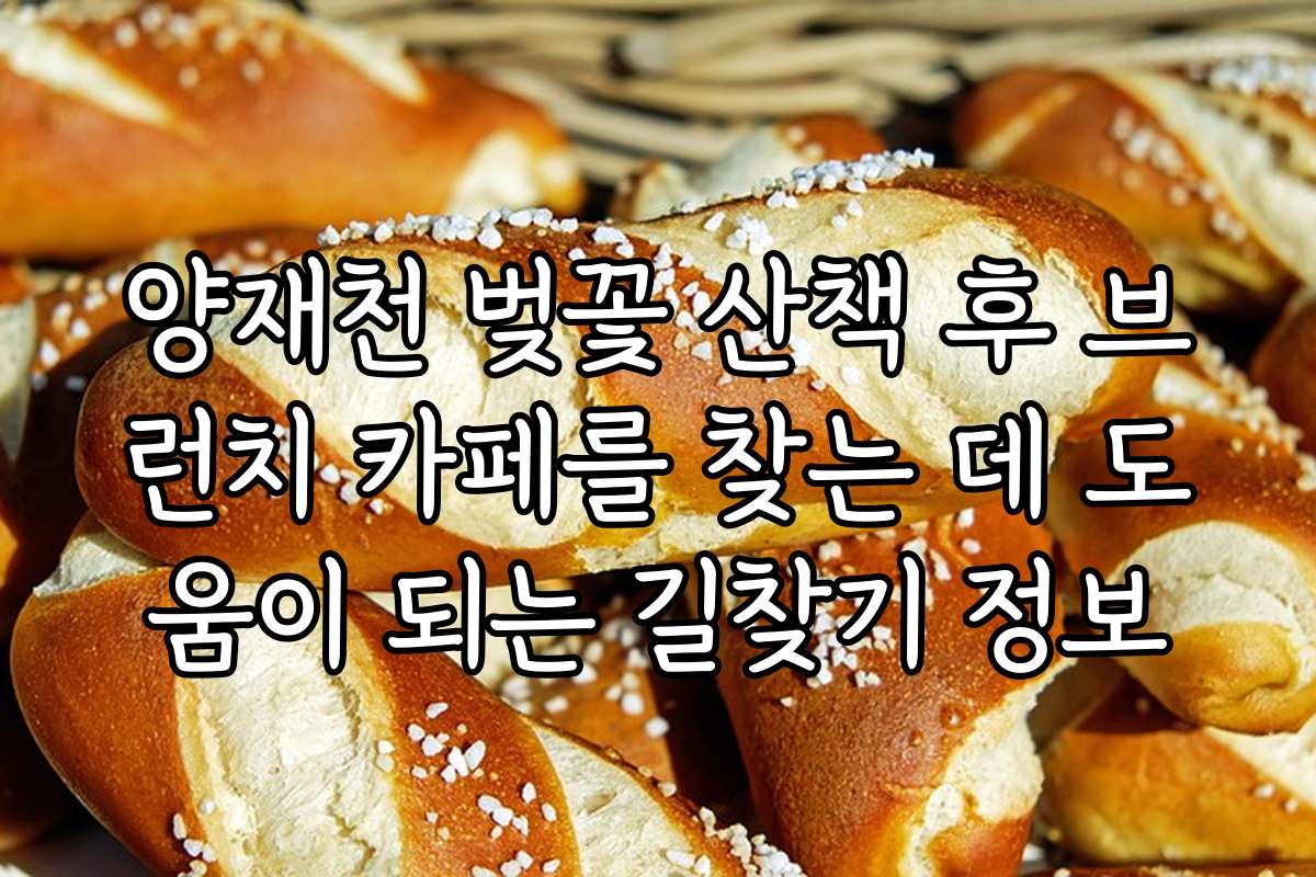 양재천 벚꽃 산책 후 브런치 카페를 찾는 데 도움이 되는 길찾기 정보