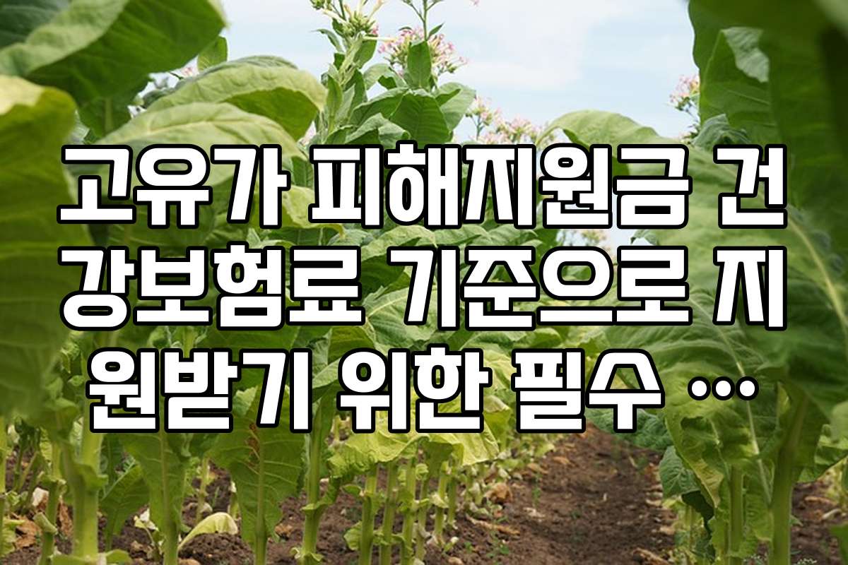 고유가 피해지원금 건강보험료 기준으로 지원받기 위한 필수 체크리스트