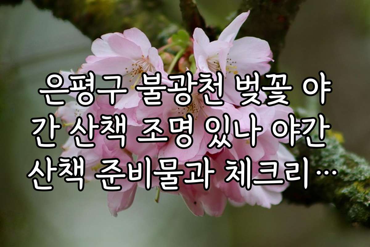 은평구 불광천 벚꽃 야간 산책 조명 있나 야간 산책 준비물과 체크리스트