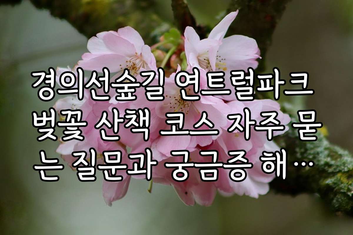 경의선숲길 연트럴파크 벚꽃 산책 코스 자주 묻는 질문과 궁금증 해결하기