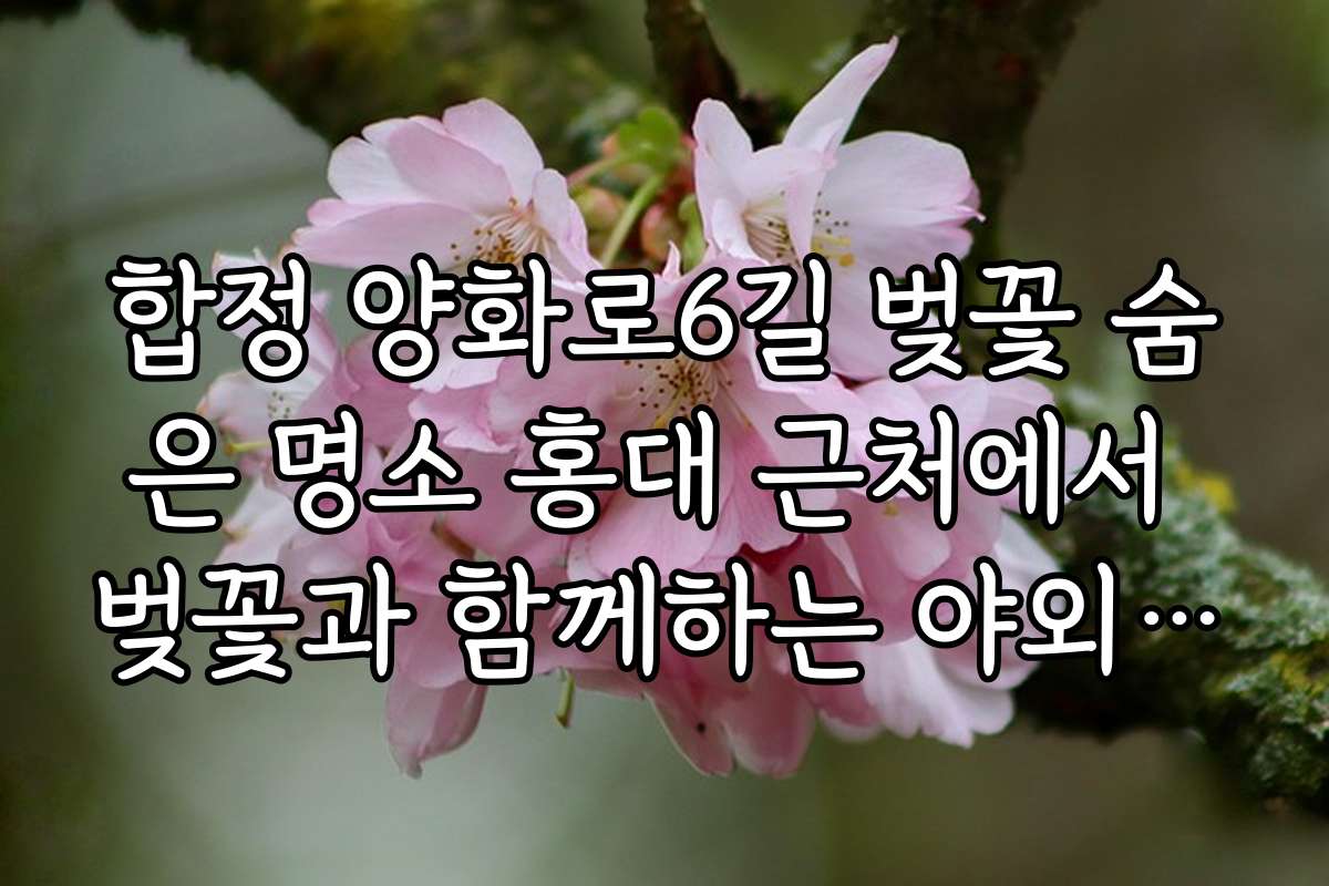 합정 양화로6길 벚꽃 숨은 명소 홍대 근처에서 벚꽃과 함께하는 야외 피크닉 장소 추천