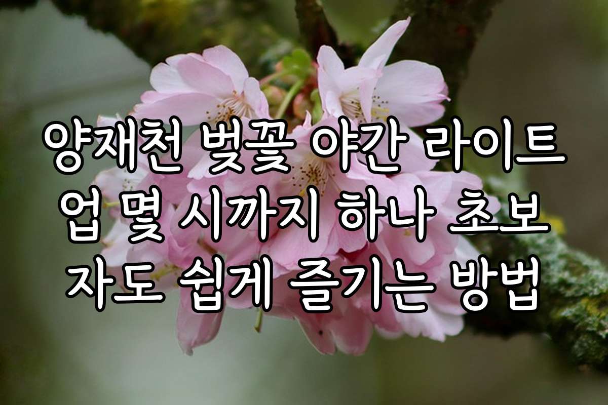 양재천 벚꽃 야간 라이트업 몇 시까지 하나 초보자도 쉽게 즐기는 방법