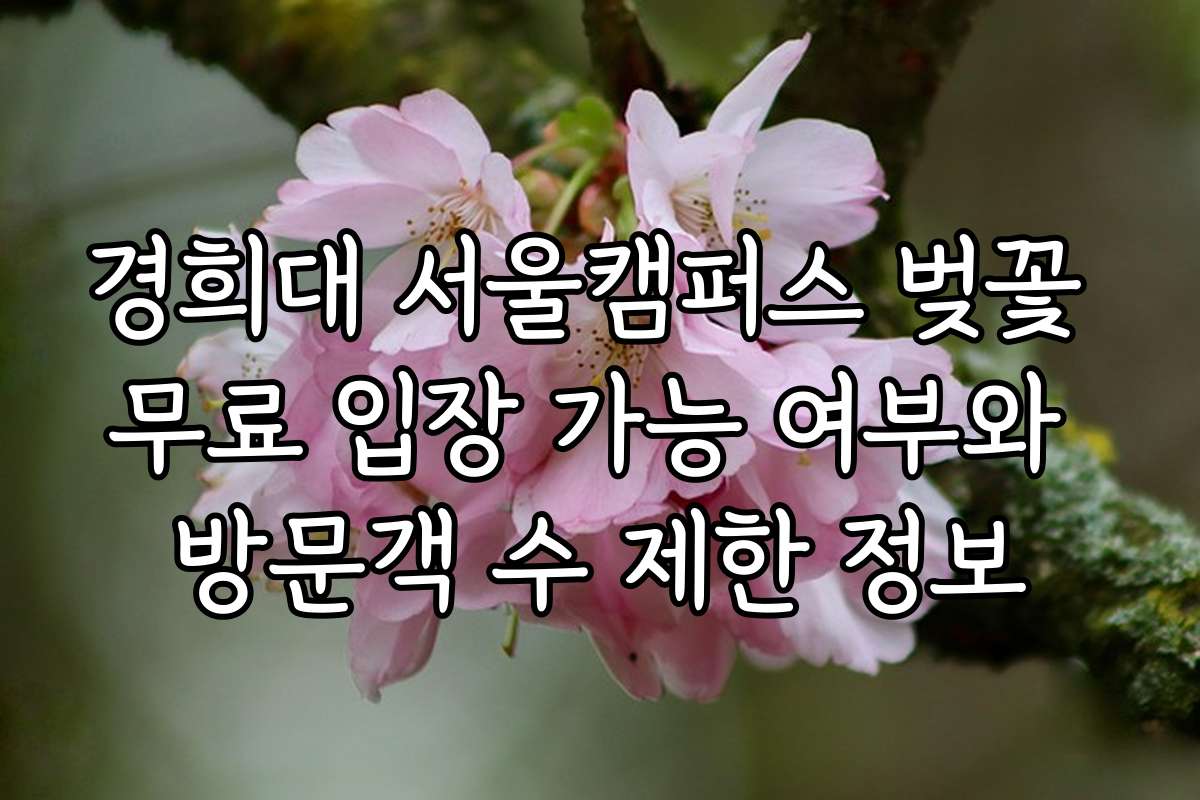 경희대 서울캠퍼스 벚꽃 무료 입장 가능 여부와 방문객 수 제한 정보