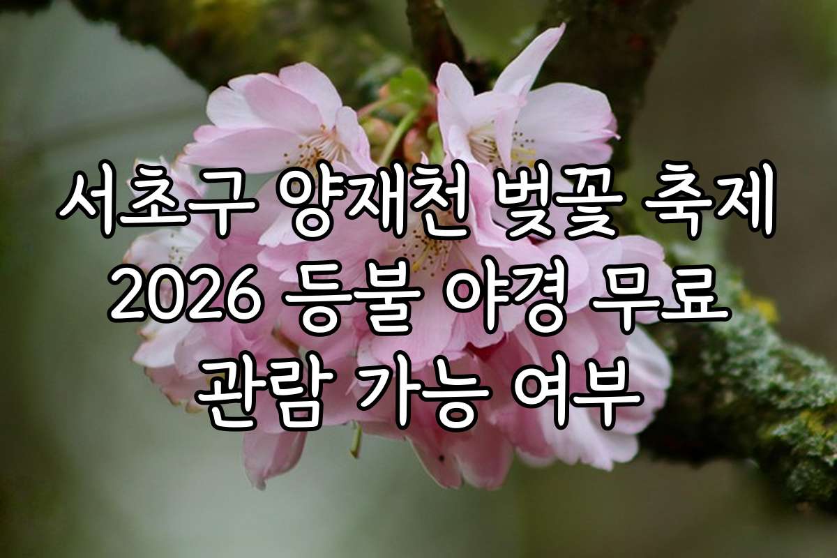 서초구 양재천 벚꽃 축제 2026 등불 야경 무료 관람 가능 여부