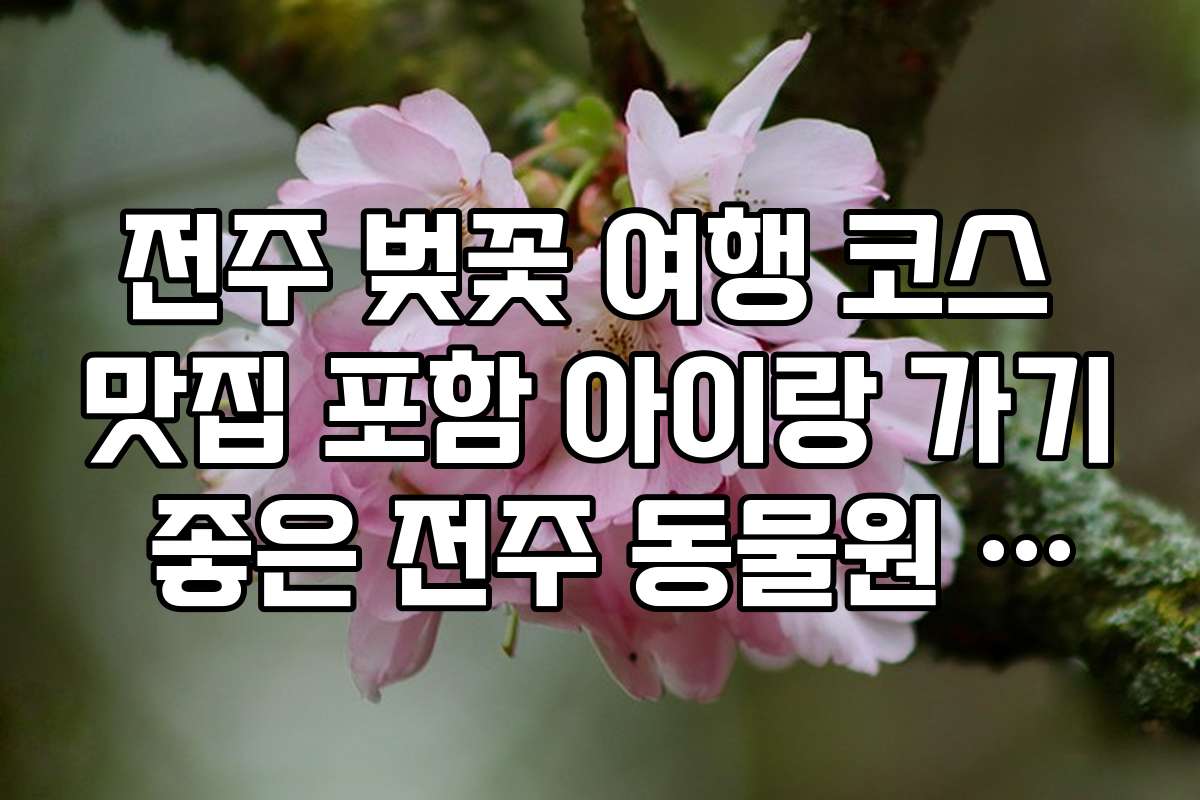 전주 벚꽃 여행 코스 맛집 포함 아이랑 가기 좋은 전주 동물원 벚꽃 야경