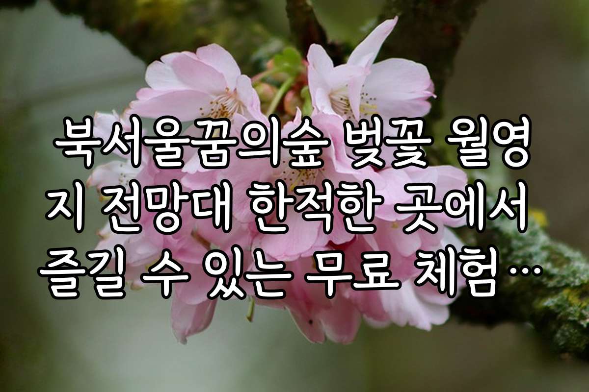 북서울꿈의숲 벚꽃 월영지 전망대 한적한 곳에서 즐길 수 있는 무료 체험 프로그램 소개