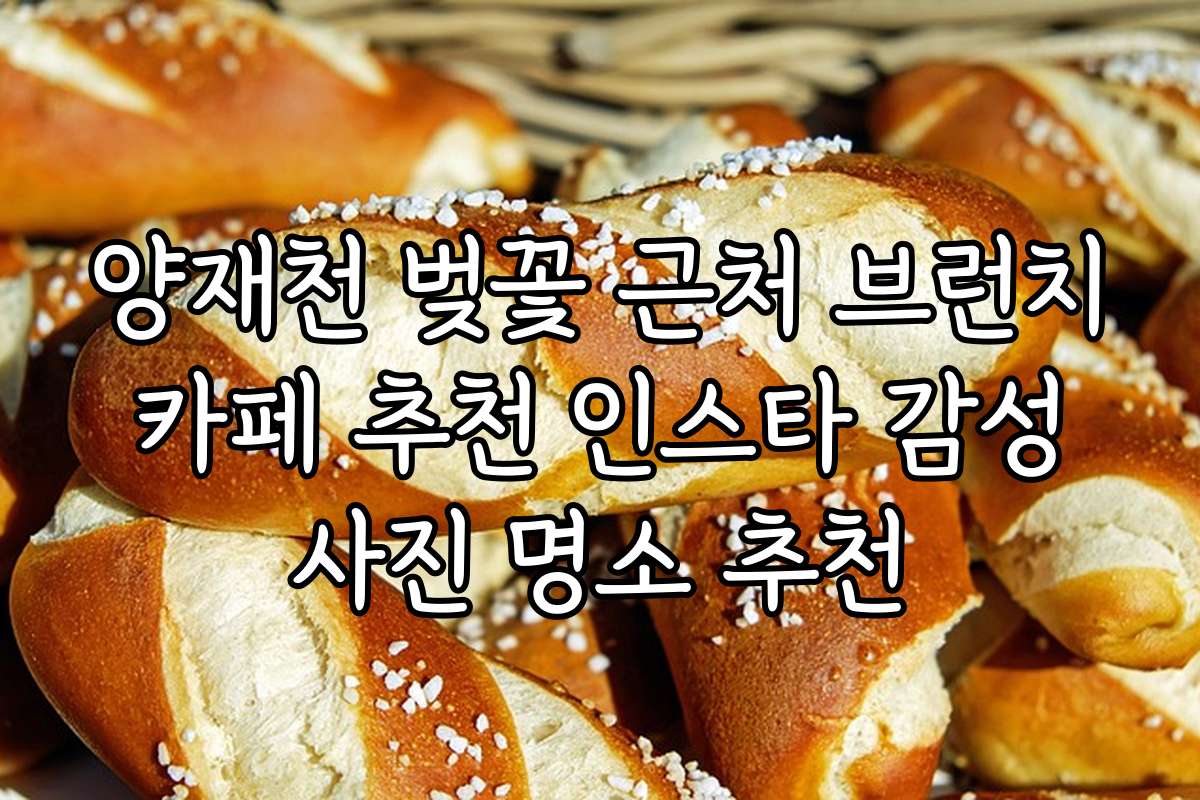 양재천 벚꽃 근처 브런치 카페 추천 인스타 감성 사진 명소 추천