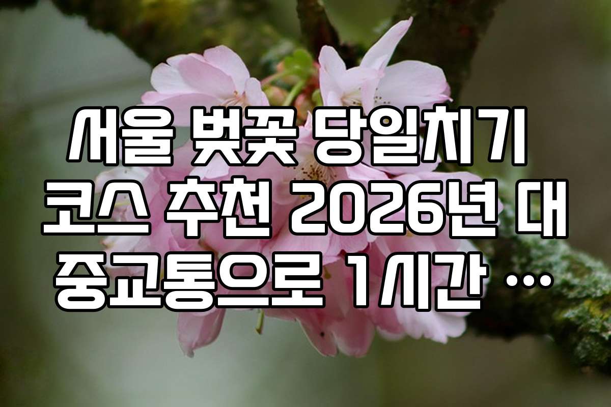 서울 벚꽃 당일치기 코스 추천 2026년 대중교통으로 1시간 이내 벚꽃길
