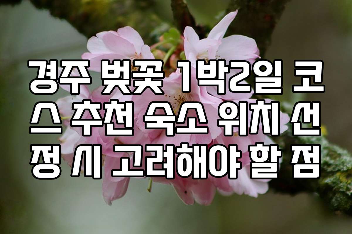 경주 벚꽃 1박2일 코스 추천 숙소 위치 선정 시 고려해야 할 점