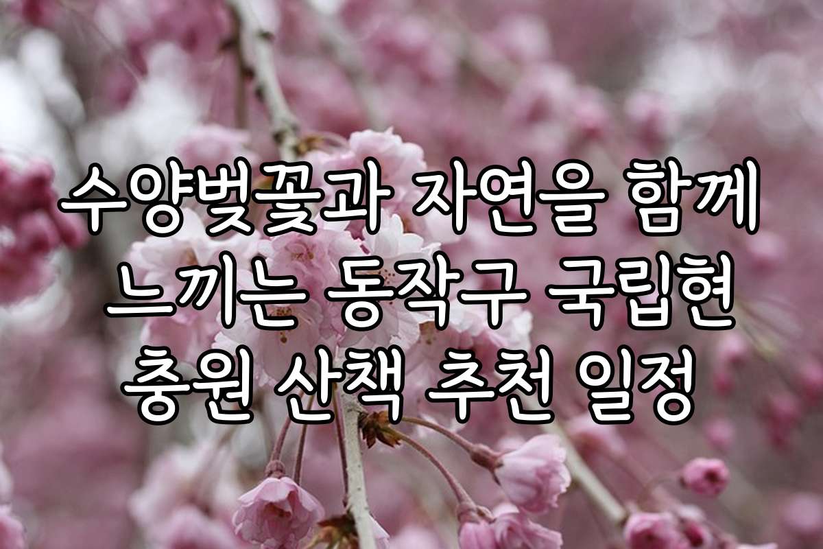 수양벚꽃과 자연을 함께 느끼는 동작구 국립현충원 산책 추천 일정