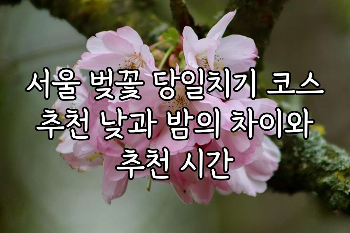 서울 벚꽃 당일치기 코스 추천 낮과 밤의 차이와 추천 시간