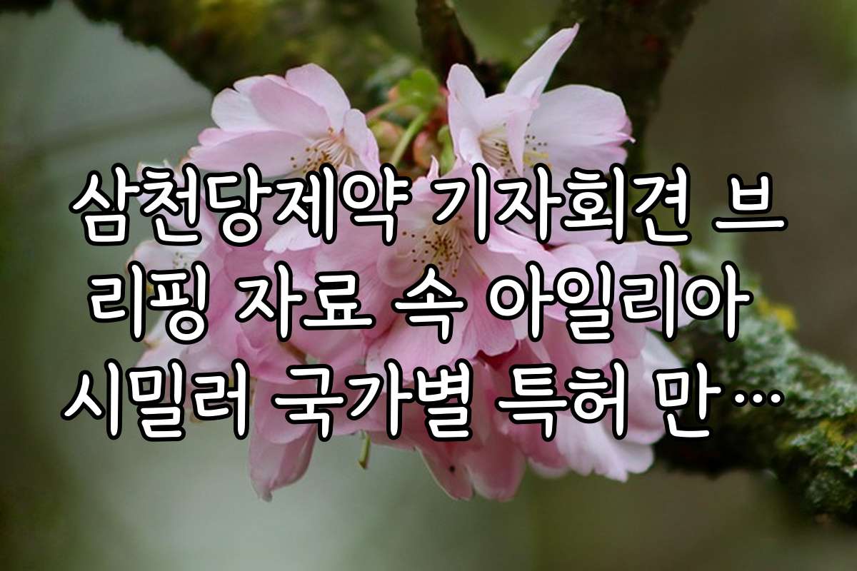 삼천당제약 기자회견 브리핑 자료 속 아일리아 시밀러 국가별 특허 만료일 정리