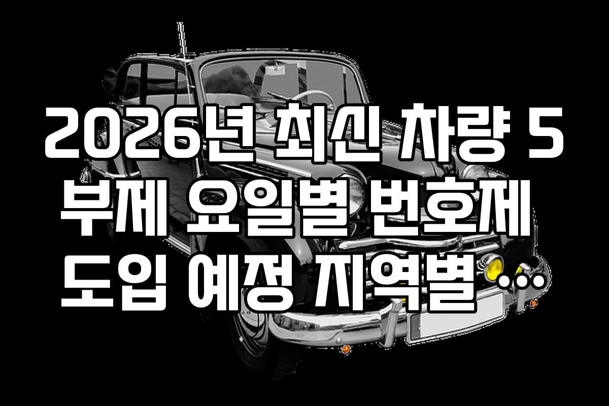 2026년 최신 차량 5부제 요일별 번호제 도입 예정 지역별 차이점