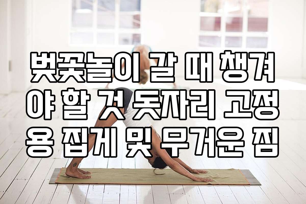 벚꽃놀이 갈 때 챙겨야 할 것 돗자리 고정용 집게 및 무거운 짐