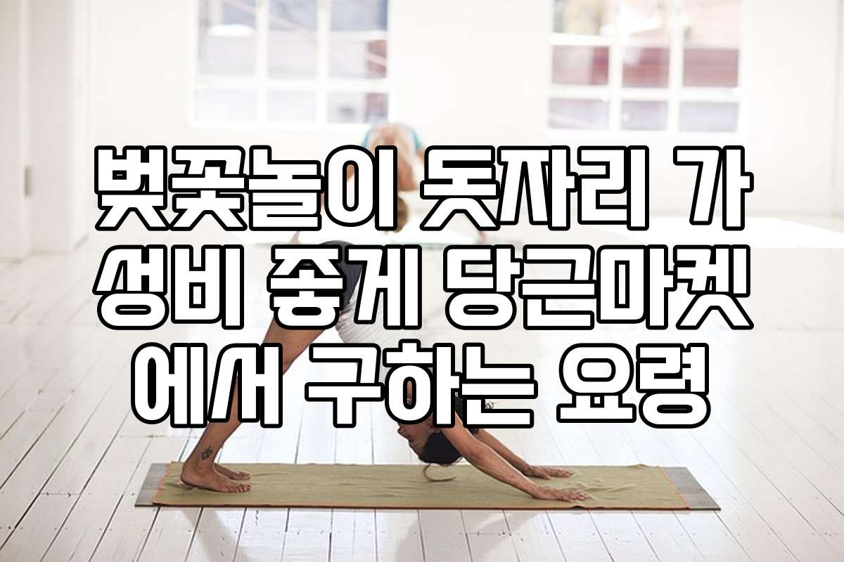 벚꽃놀이 돗자리 가성비 좋게 당근마켓에서 구하는 요령