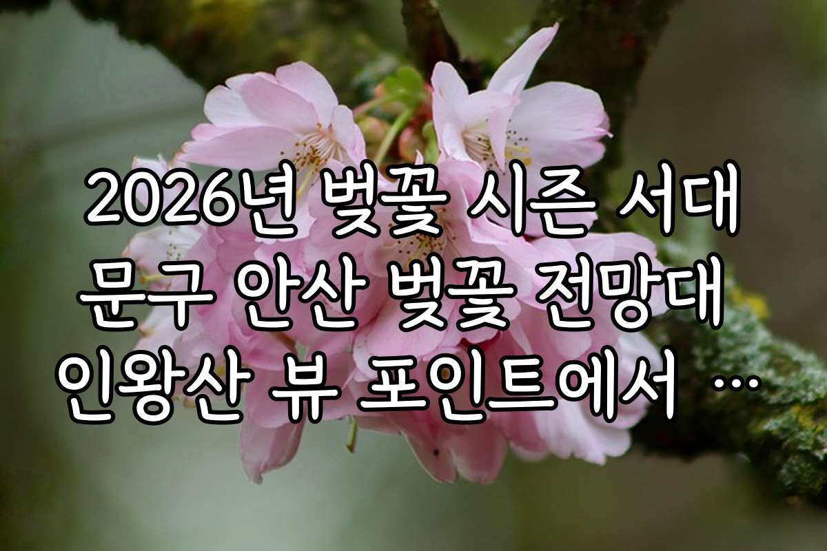 2026년 벚꽃 시즌 서대문구 안산 벚꽃 전망대 인왕산 뷰 포인트에서 경험한 후기와 방문 소감을 공유합니다