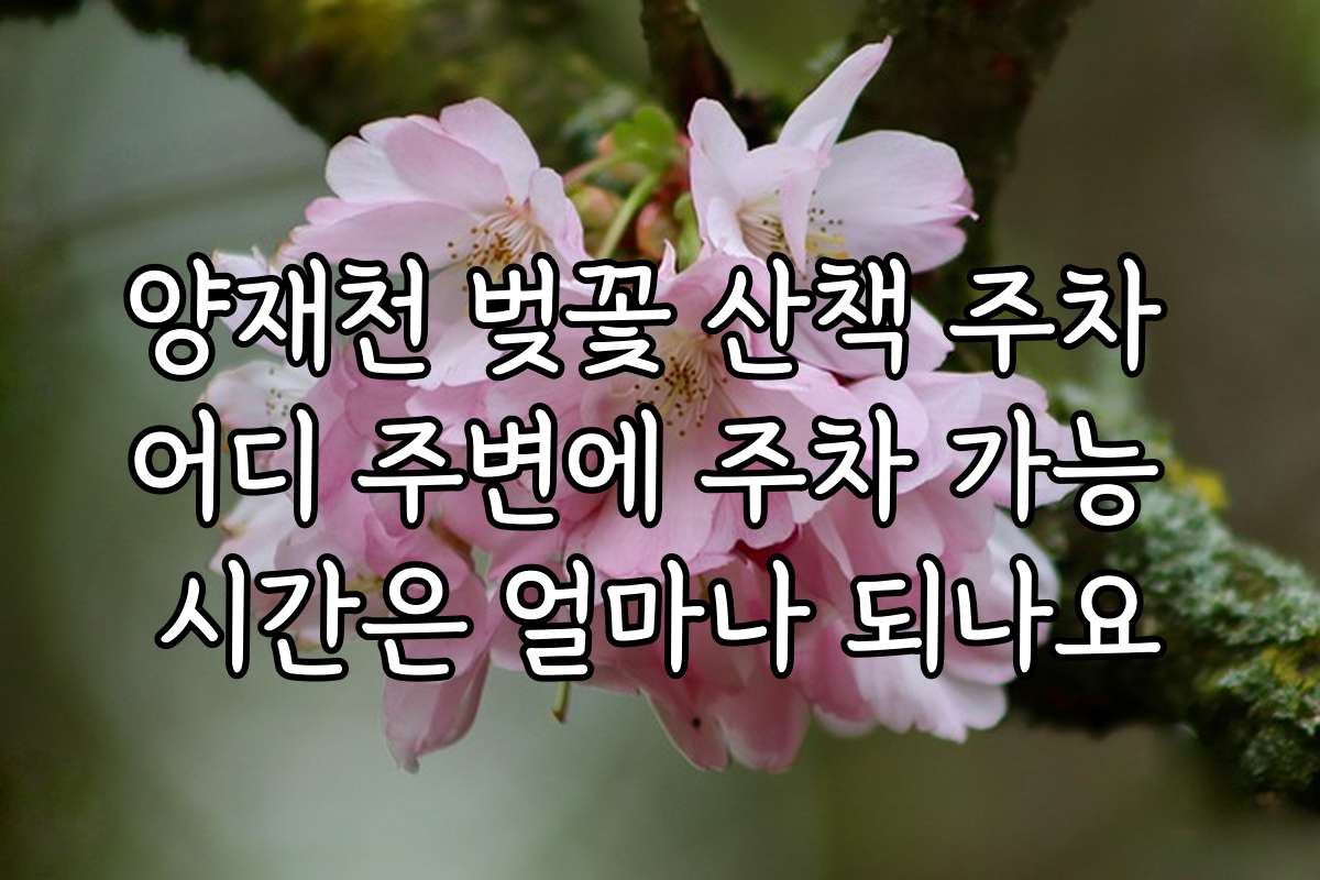 양재천 벚꽃 산책 주차 어디 주변에 주차 가능 시간은 얼마나 되나요
