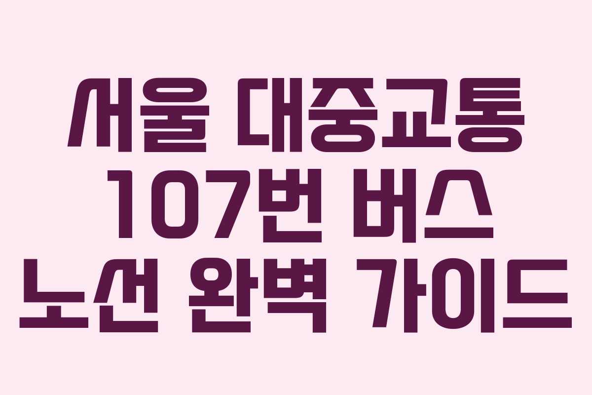 서울 대중교통 107번 버스 노선 완벽 가이드
