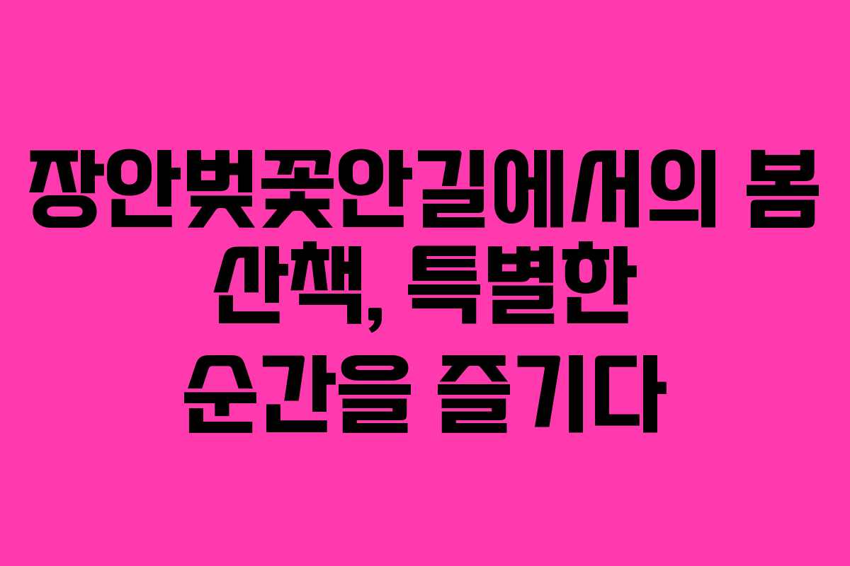 장안벚꽃안길에서의 봄 산책, 특별한 순간을 즐기다