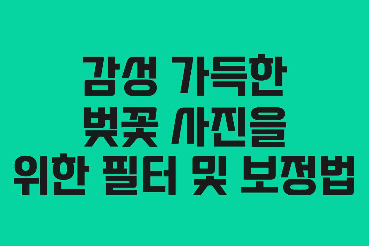 감성 가득한 벚꽃 사진을 위한 필터 및 보정법