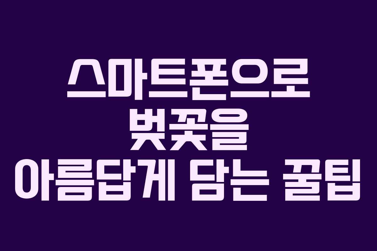 스마트폰으로 벚꽃을 아름답게 담는 꿀팁