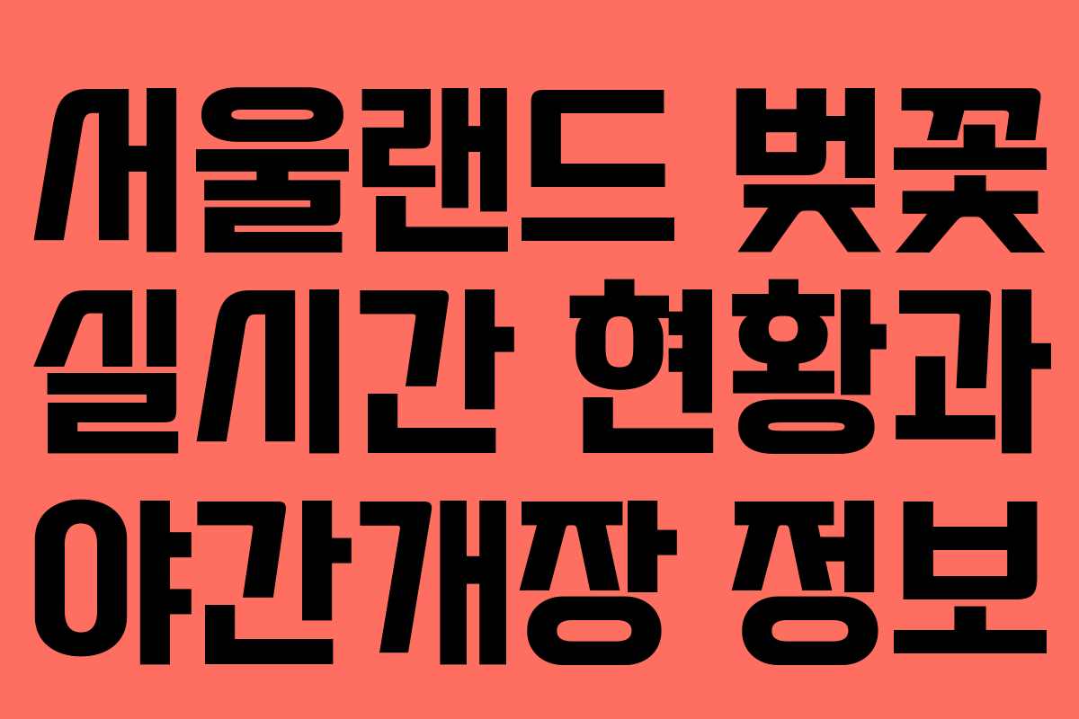 서울랜드 벚꽃 실시간 현황과 야간개장 정보