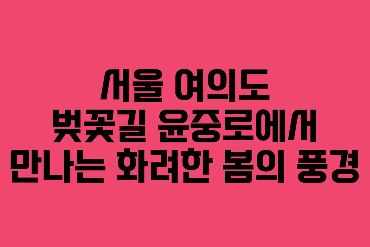 서울 여의도 벚꽃길 윤중로에서 만나는 화려한 봄의 풍경