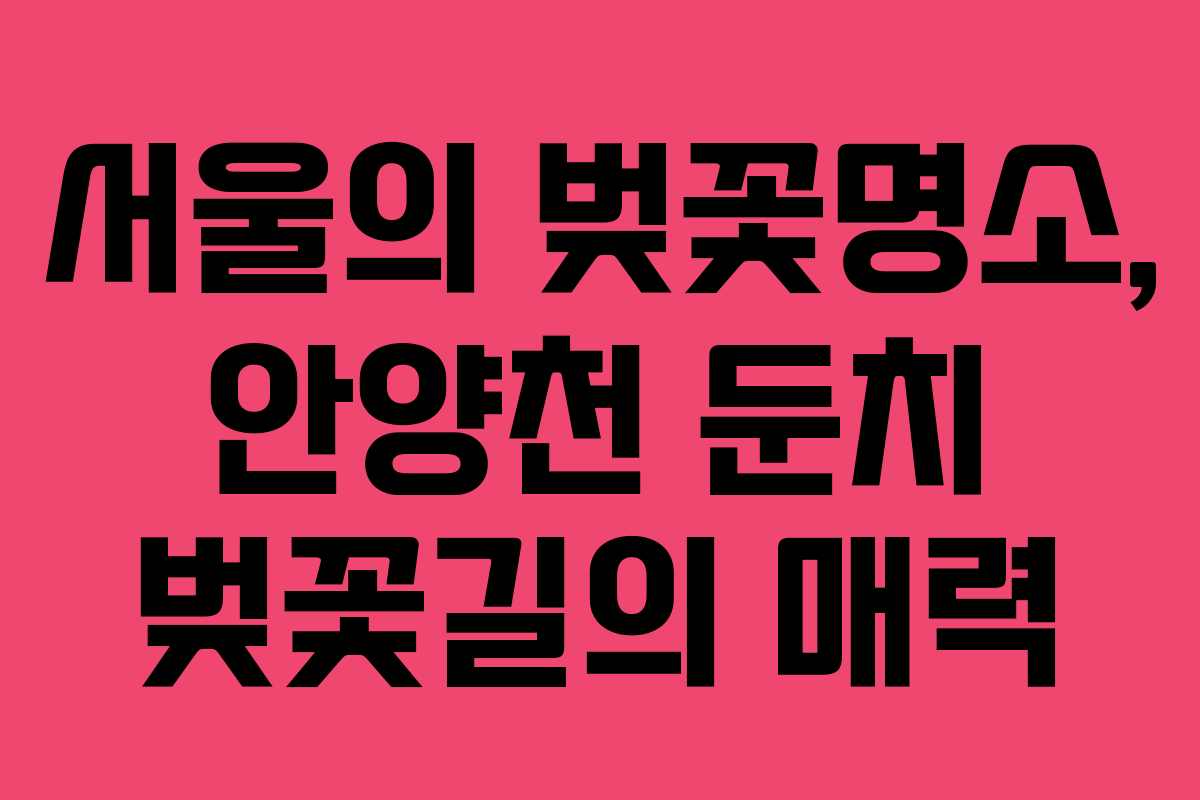서울의 벚꽃명소, 안양천 둔치 벚꽃길의 매력