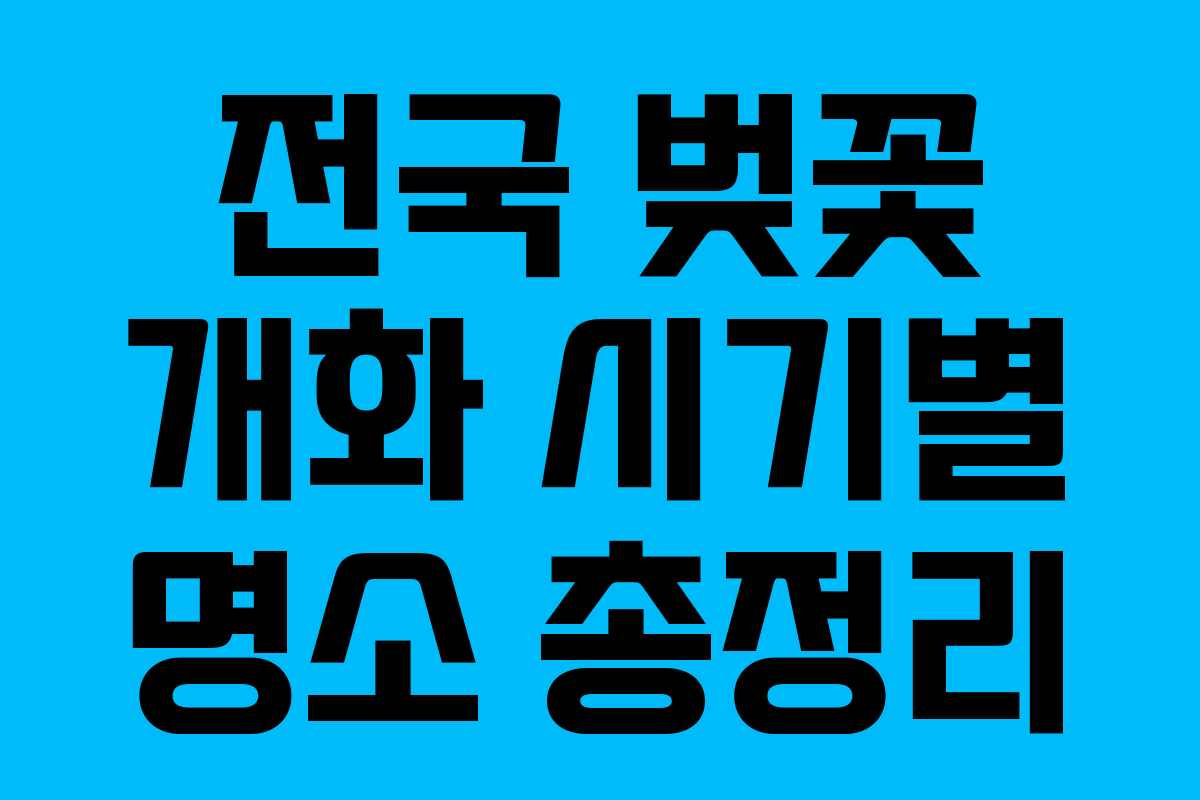전국 벚꽃 개화 시기별 명소 총정리