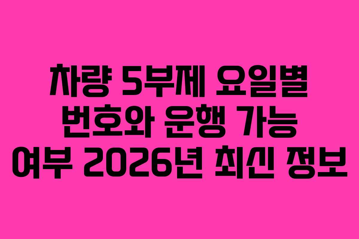 차량 5부제 요일별 번호와 운행 가능 여부 2026년 최신 정보