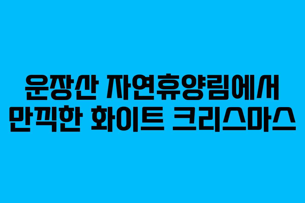 운장산 자연휴양림에서 만끽한 화이트 크리스마스