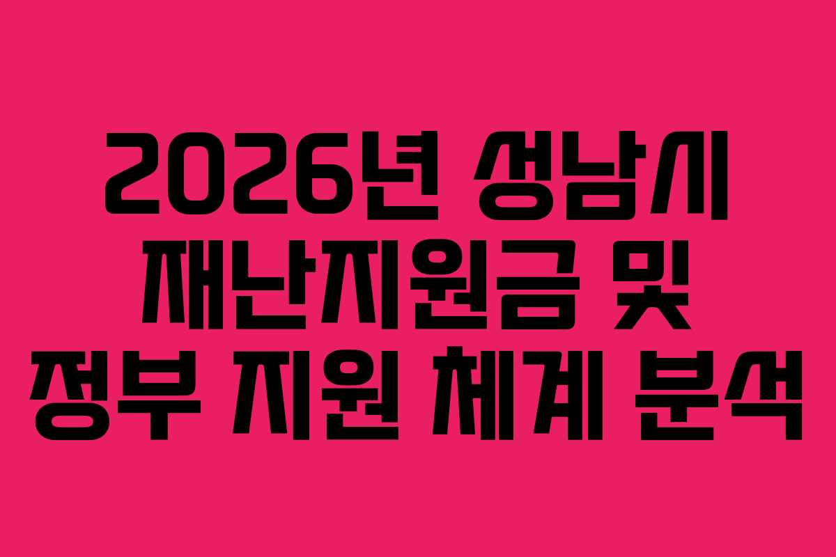 2026년 성남시 재난지원금 및 정부 지원 체계 분석