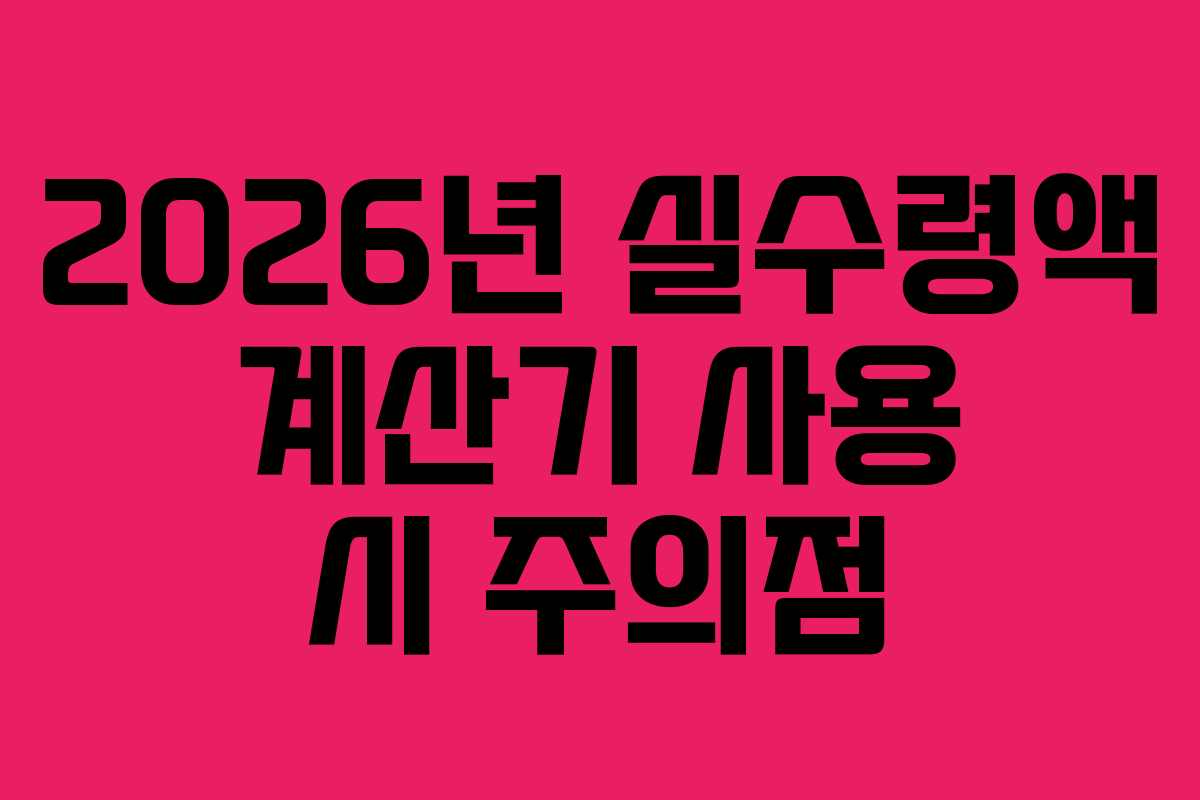 2026년 실수령액 계산기 사용 시 주의점
