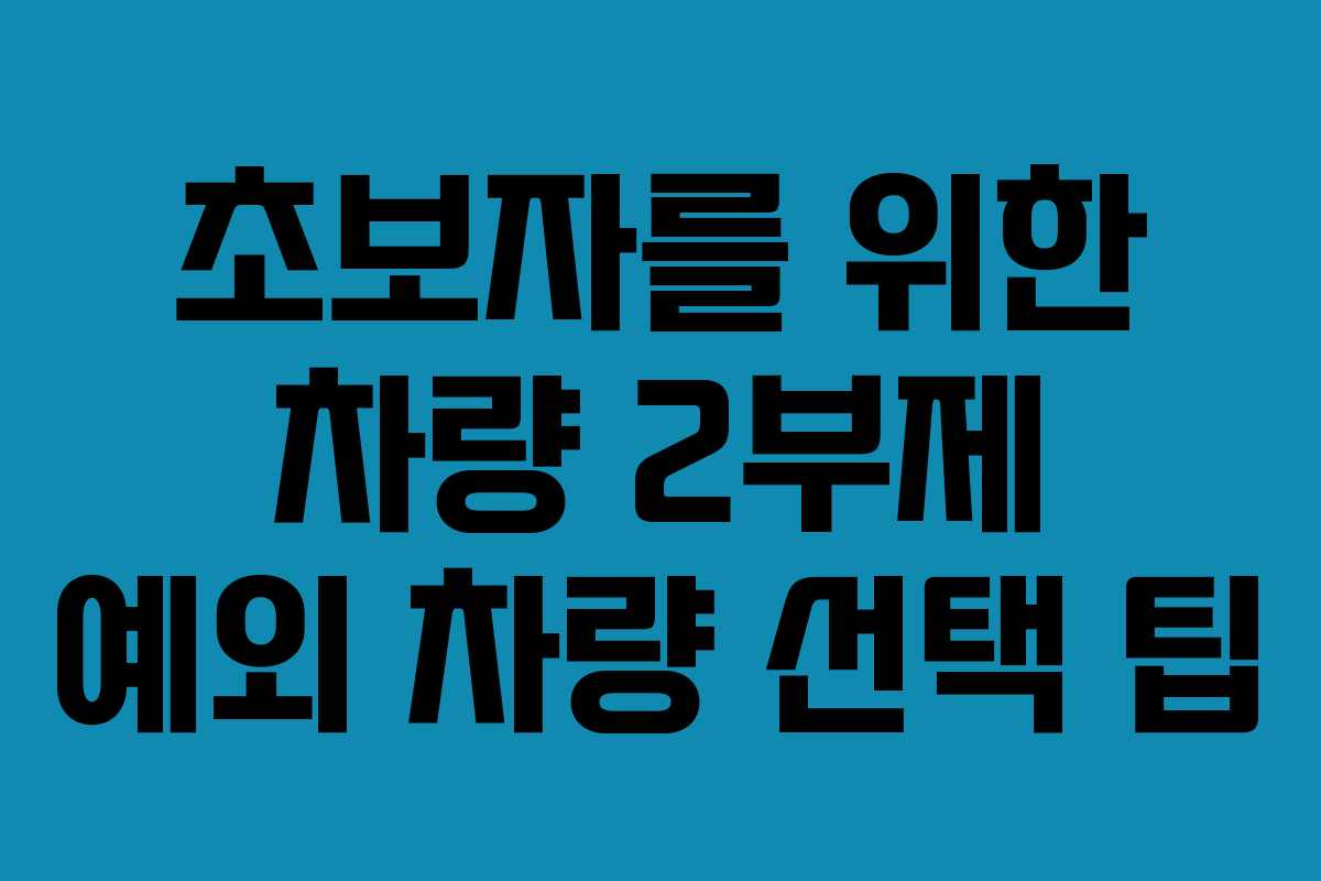 초보자를 위한 차량 2부제 예외 차량 선택 팁