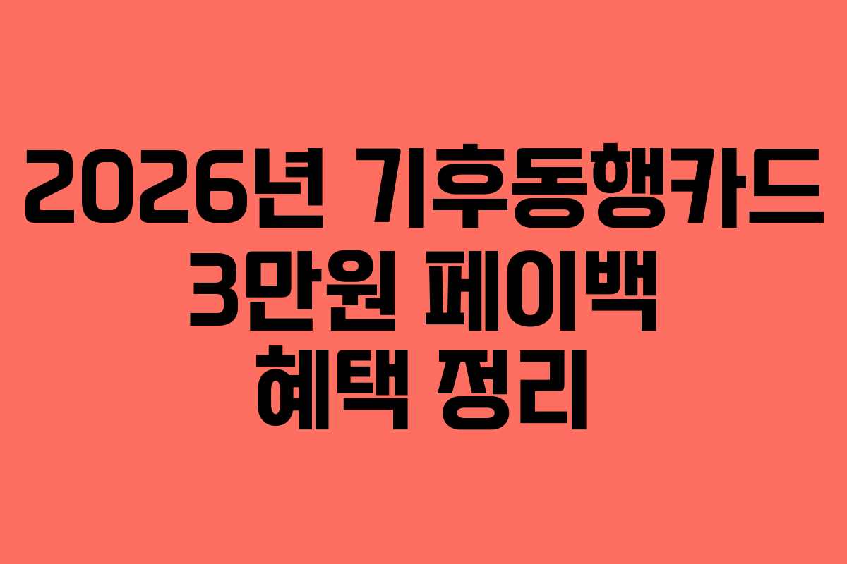 2026년 기후동행카드 3만원 페이백 혜택 정리