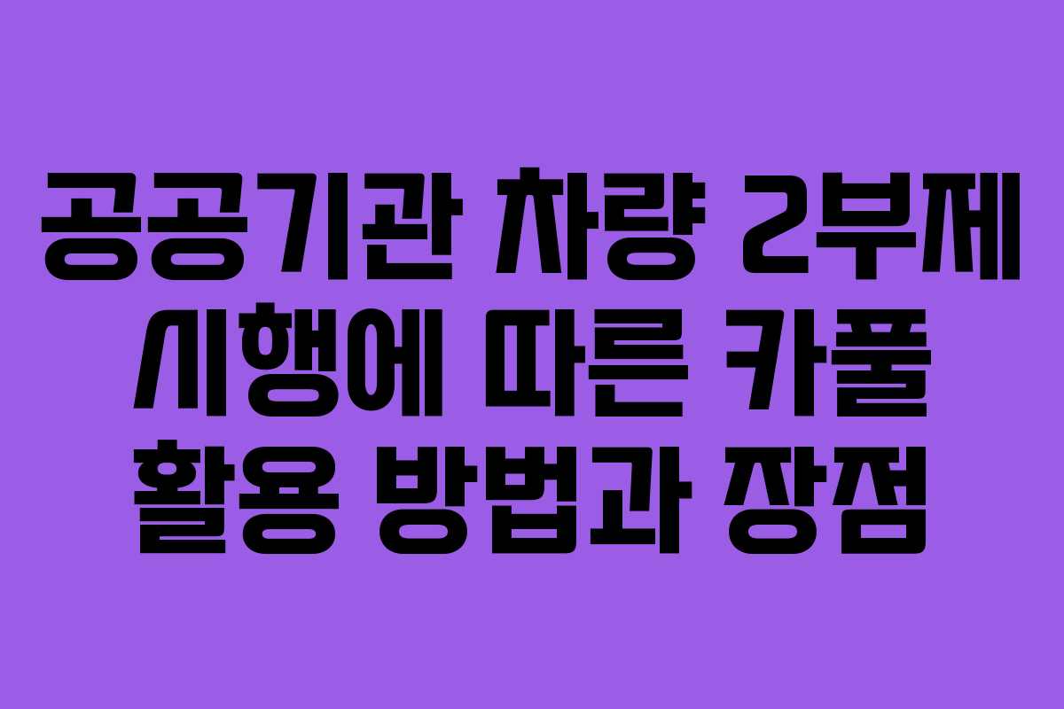 공공기관 차량 2부제 시행에 따른 카풀 활용 방법과 장점