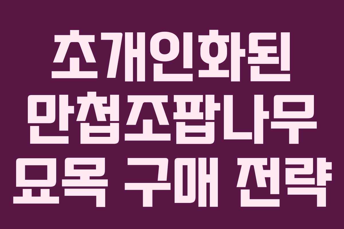초개인화된 만첩조팝나무 묘목 구매 전략