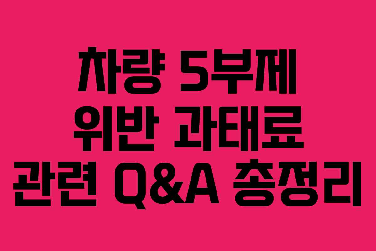 차량 5부제 위반 과태료 관련 Q&A 총정리