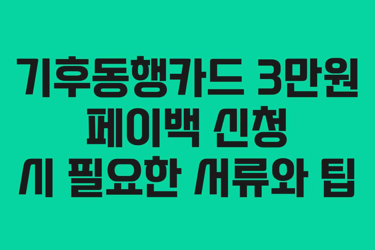 기후동행카드 3만원 페이백 신청 시 필요한 서류와 팁
