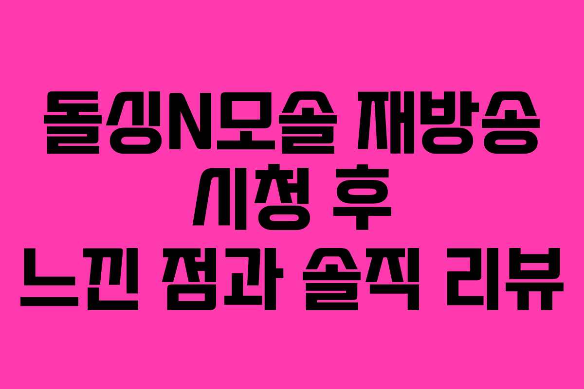 돌싱N모솔 재방송 시청 후 느낀 점과 솔직 리뷰
