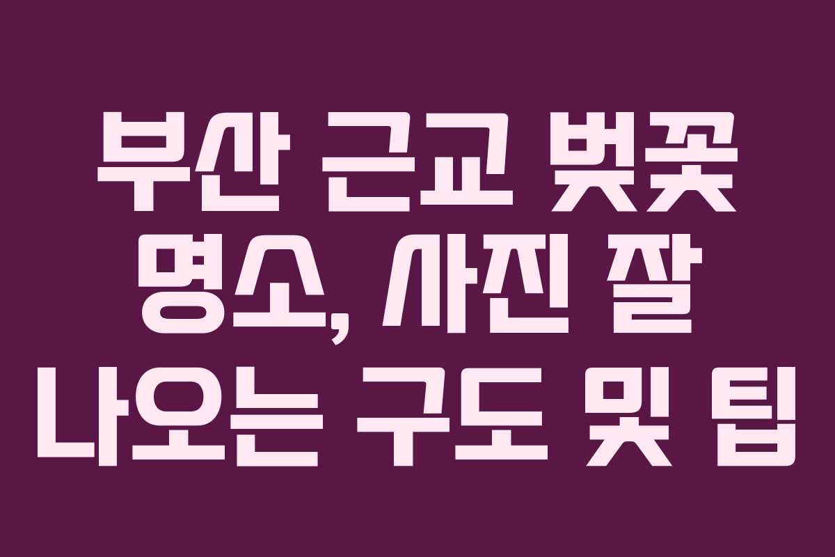 부산 근교 벚꽃 명소, 사진 잘 나오는 구도 및 팁